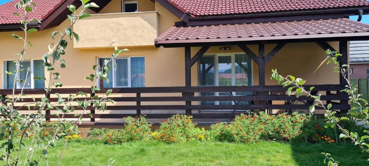 Carpen View Residence Săcele Eksteriør billede