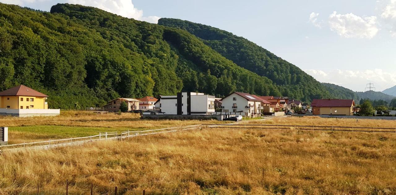 Carpen View Residence Săcele Eksteriør billede